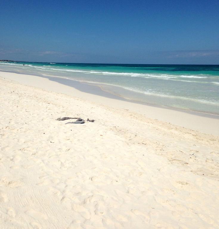 Cabanas La Eufemia Tulum Eksteriør bilde